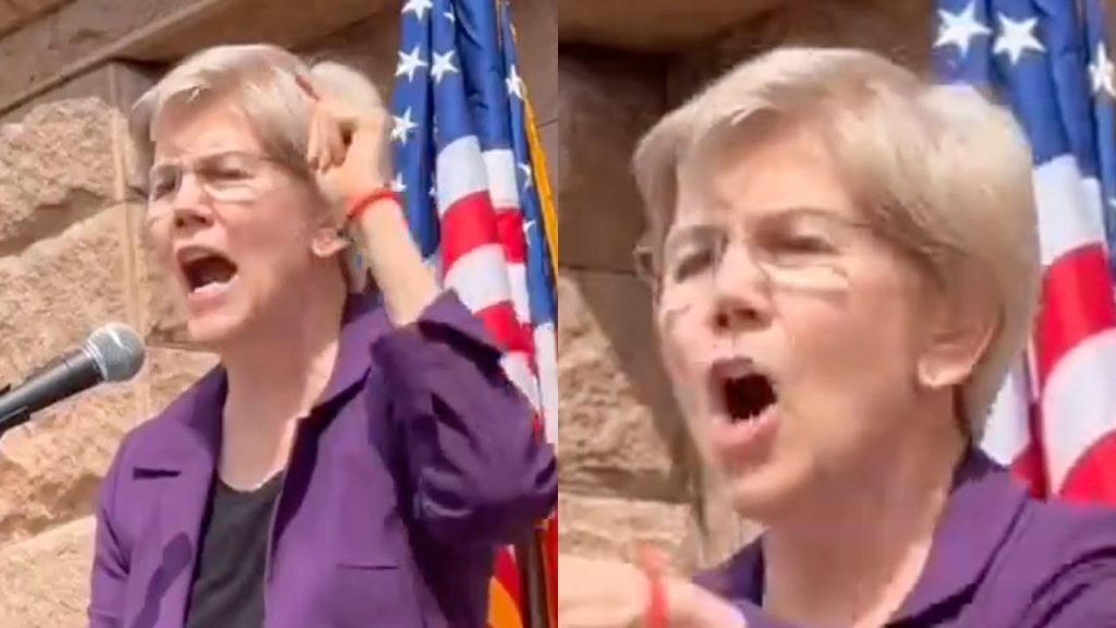 Elizabeth Warren Goes Crazy Over Donald Trump At Her Rally On Live TV