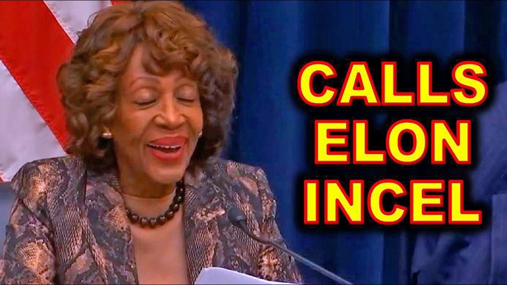 Maxine Waters Takes a CHEAP-SHOT at Elon Musk and the DOGE Team……