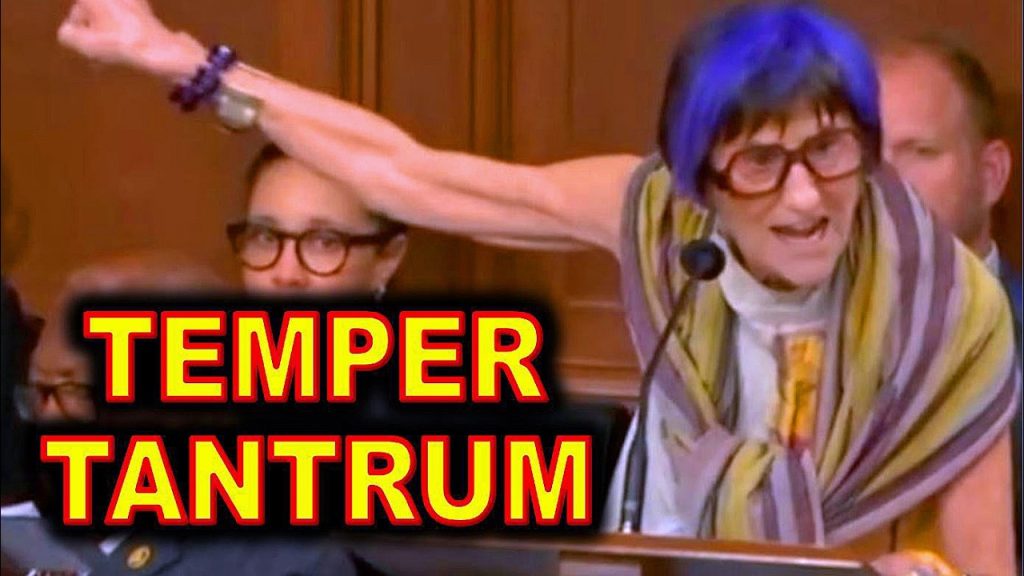 An ANGRY Rosa DeLauro FLIPS-OUT and Has MELTDOWN of House Floor…..