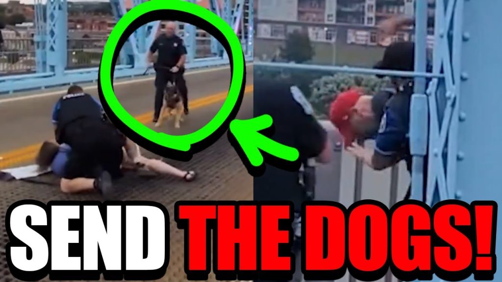 “Protest” turns into INSTANT REGRET when Dogs Let Out!