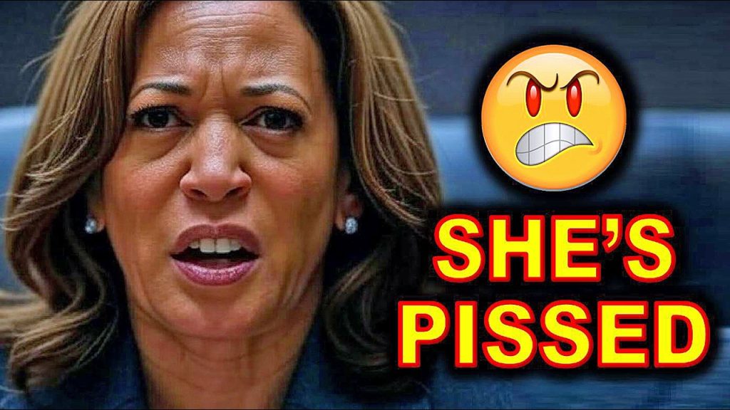 Kamala Harris Publicly HUMILIATED by LONG-TIME Ally over Her SMUGNESS…..