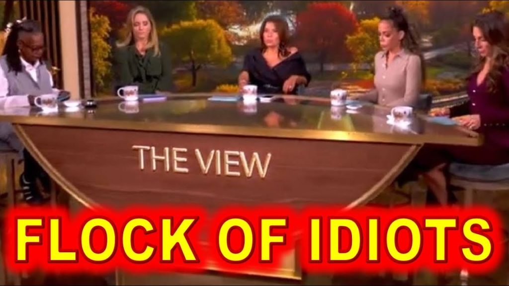 IDIOTS on The View INSULTS Wrong VICTIM, Deflecting “KIRK Blame”…..