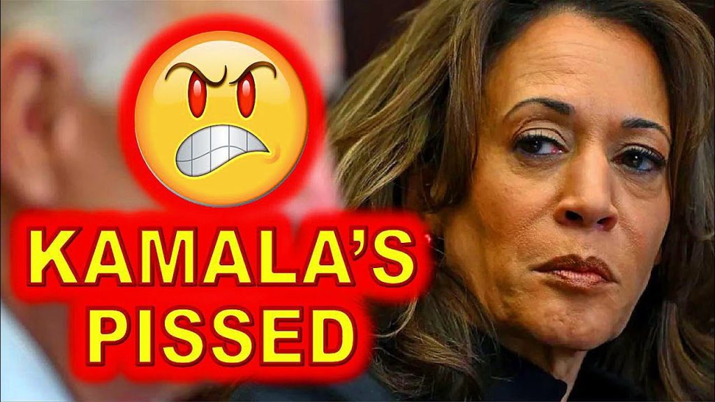 Kamala Harris Got WRECKED by MAJOR Member of the Democratic Party…..