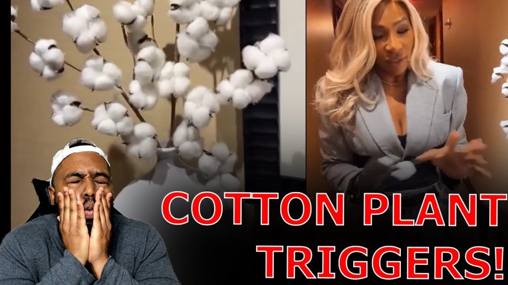Serena Williams TRIGGERED After Finding Cotton Plant In New York City Hotel