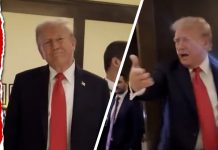 Watch the Trump Encounter with DC Protesters that Raised Security Alarms: Report