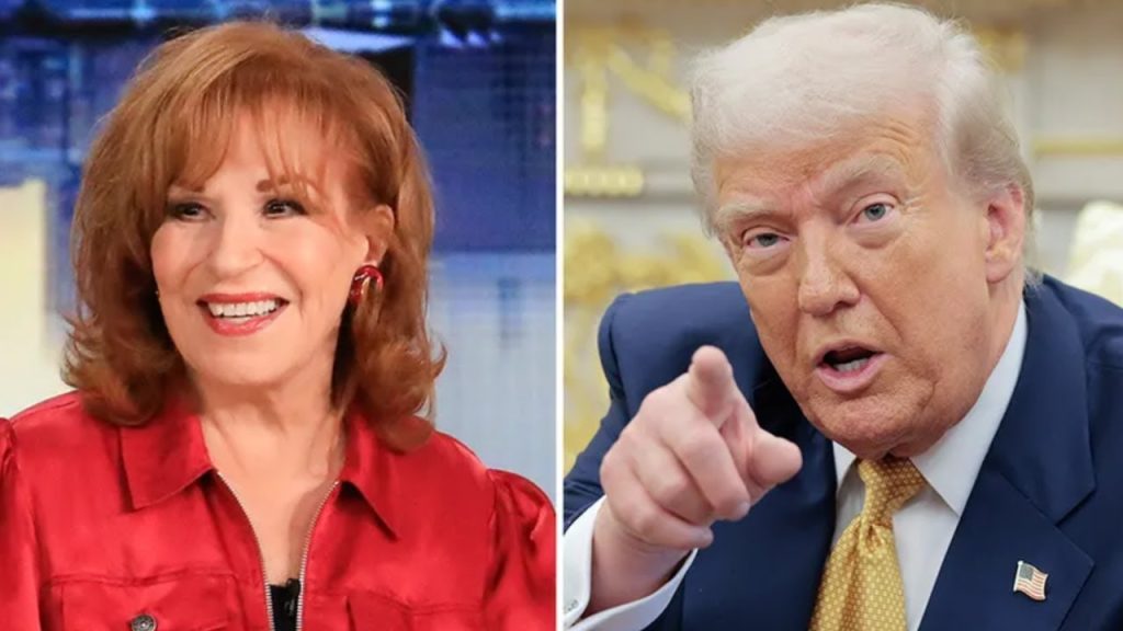 ‘IT’S OBVIOUS’: Joy Behar About to ‘FAFO’ After Vicious Smear Against Donald Trump