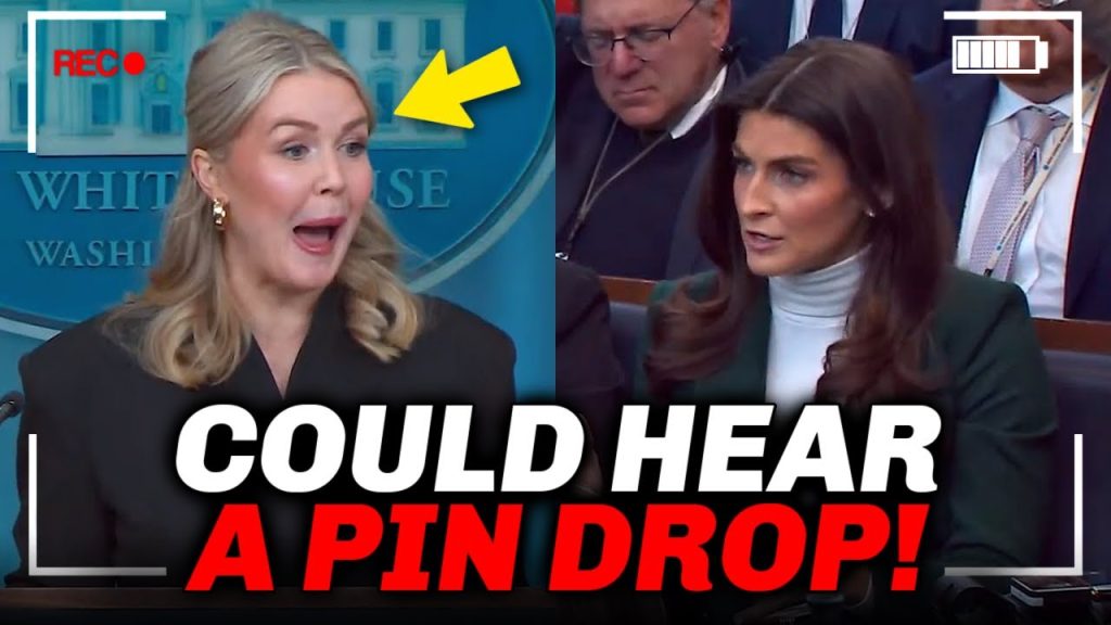 Karoline Leavitt SHUTS DOWN Smug CNN Host And This Happened…