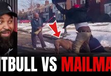 Pit Bull Attacks Mailman Then Whole Neighborhood Jumps In!