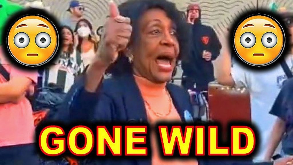 Maxine Waters WIGS-OUT at ICE Protest in Los Angeles…..