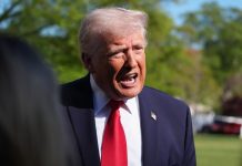 ‘You don’t know anything’: Donald Trump humiliates ‘fake news’ reporter