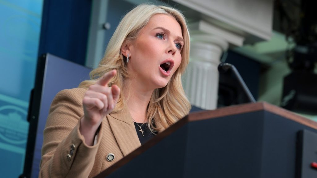 Karoline Leavitt’s Replacement Walks In — Entire Briefing Room ERUPTS