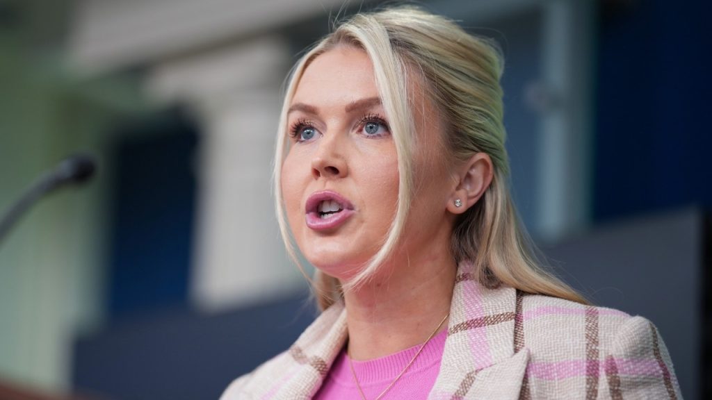 D.C. LOSES IT — Karoline Leavitt’s Replacement Walks In, Reporters Left Speechless
