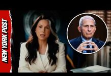 Tulsi Gabbard Releases Trove of Files Exposing Fauci’s Role During COVID-19 Pandemic