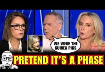 Perino And Gutfeld ROAST Hillary Clinton Calling Dem Socialism A Phase!