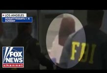 NEW DETAILS: Alleged Chinese spy ARRESTED at LAX
